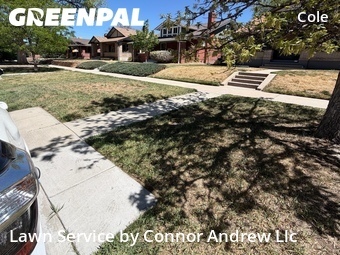 Lawn Mowing Service nearby Denver, CO, 