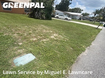 Lawn Cutting nearby Orlando, FL, 