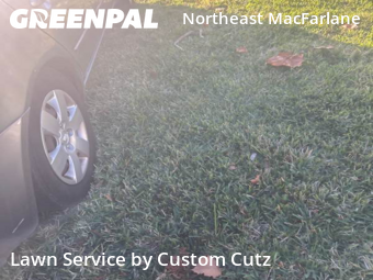 Lawn Maintenance nearby Tampa, FL, 