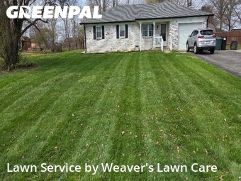 Yard Cutting nearby New Palestine, IN, 