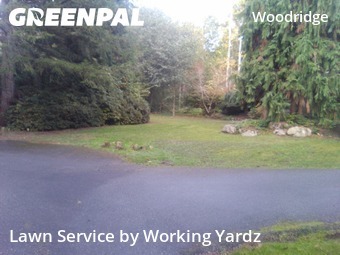 Yard Care in Bellevue, 98005, Lawn Upkeep by Working Yardz, work completed in Dec , 2025