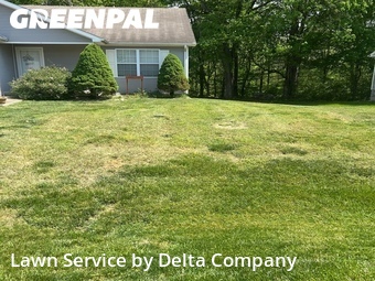 Yard Mowing nearby Bowling Green, KY, 