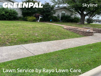 Grass Cut nearby Mesquite, TX, 