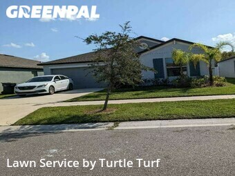 Lawn Cutting nearby Wimauma, FL, 