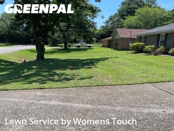 Grass Cut nearby Tuscaloosa, AL, 