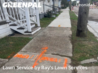 Lawn Mow nearby New Orleans, LA, 