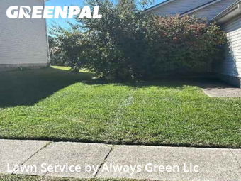 Lawn Cutting nearby Lexington, KY, 