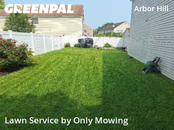 Yard Mowing nearby Albany, NY, 