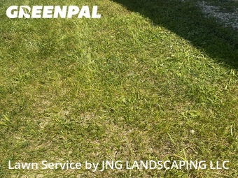 Lawn Cutting nearby New Castle, DE, 