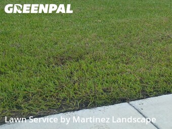 Lawn Maintenancein Ocoee,34761,Lawn Care Service by Martinez Landscape, work completed in Jun , 2026