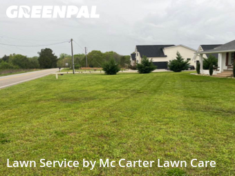 Lawn Care nearby Campobello, SC, 