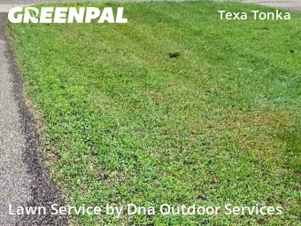 Grass Cut nearby Minneapolis, MN, 