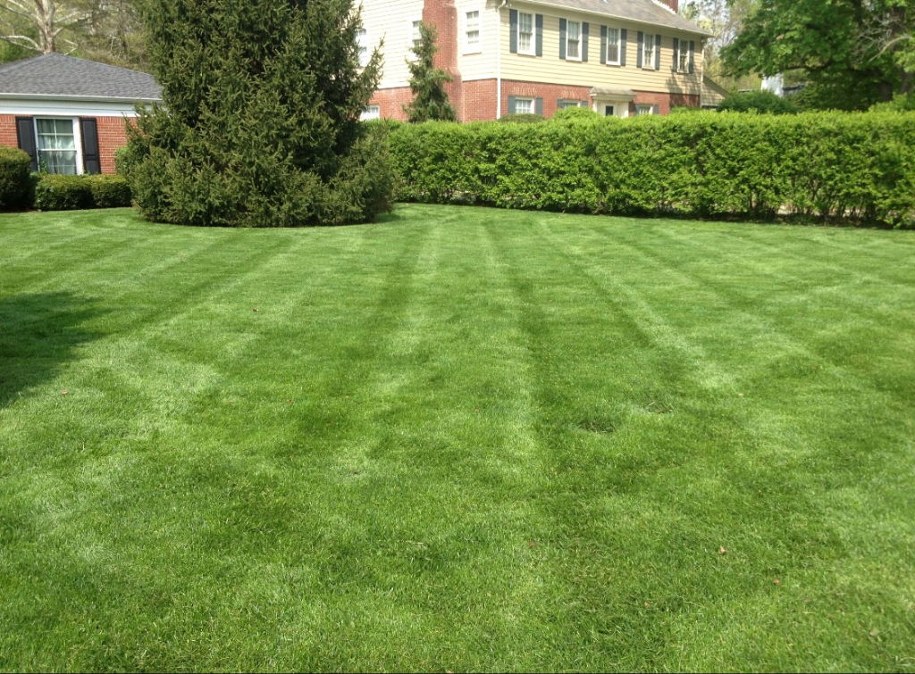 Lawn Mowing Contractor in Indianapolis , IN, 46240