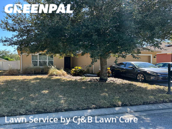 Lawn Mow nearby New Port Richey, FL, 