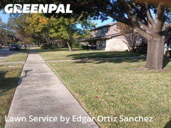 Yard Mowingin Richardson,75080,Grass Cutting by Edgar Ortiz Sanchez, work completed in Dec , 2025