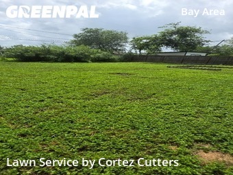 Lawn Service nearby Corpus Christi, TX, 