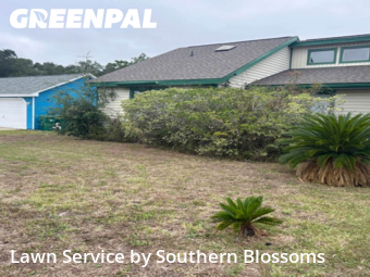 Grass Cutting nearby Mary Esther, FL, 