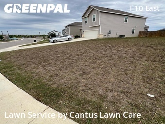 Grass Cut nearby Converse, TX, 