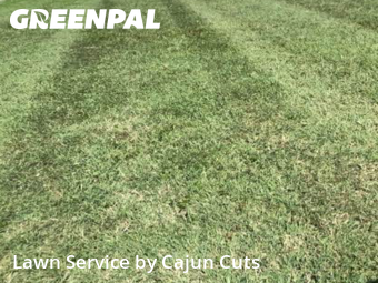 Yard Cutting nearby Murfreesboro, TN, 