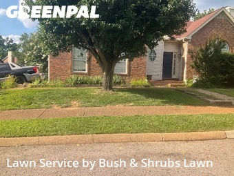 Lawn Mow nearby Franklin, TN, 