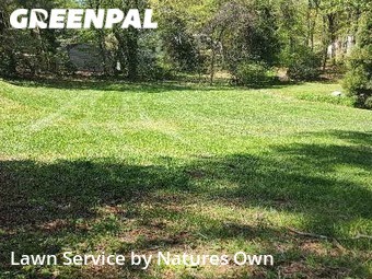 Lawn Maintenance nearby Richmond, VA, 