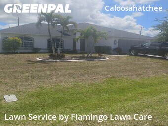 Lawn Care nearby Cape Coral, FL, 