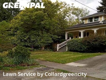 Yard Cutting nearby Seattle, WA, 