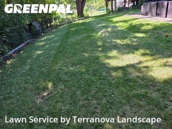 Yard Grooming in Woodridge, 60517, Yard Grooming by Terranova Landscape, work completed in Nov , 2025
