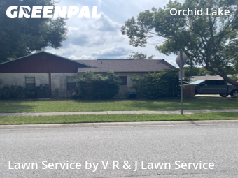 Lawn Cut nearby Port Richey, FL, 