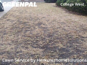 Lawn Cut nearby San Diego, CA, 
