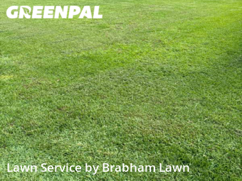 Lawn Cutting nearby Gonzales, LA, 