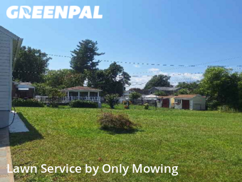 Lawn Mow nearby Schenectady, NY, 