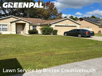Lawn Cut nearby Palm Coast, FL, 