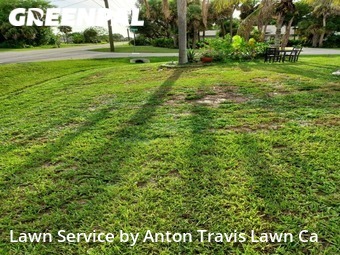 Lawn Cutting nearby Port Charlotte, FL, 