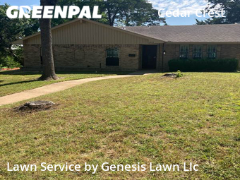 Lawn Mowing Service nearby Dallas, TX, 
