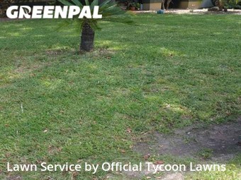 Lawn Maintenance nearby Palm Coast, FL, 
