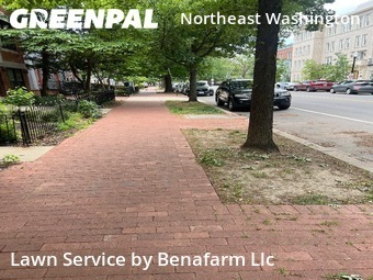 Grass Cut nearby Washington, MD, 