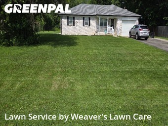 Yard Cutting nearby New Palestine, IN, 
