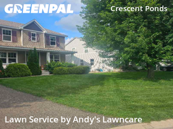 Yard Cutting nearby Minneapolis, MN, 