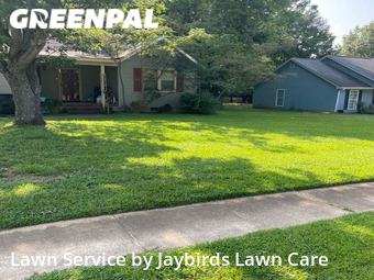 Yard Cutting nearby Decatur, AL, 