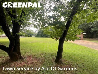 Grass Cut nearby Doraville, GA, 