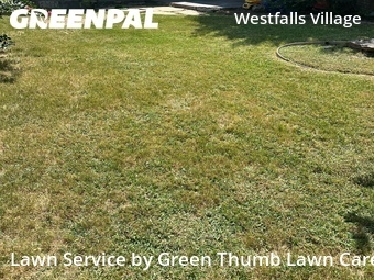 Lawn Servicein Frisco,75036,Grass Cutting by Green Thumb Lawn Care, work completed in Jul , 2026