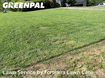 Lawn Service nearby Coalburg, AL, 