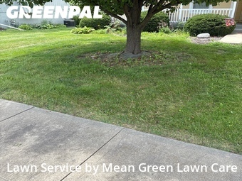 Grass Cutting nearby Belton, MO, 