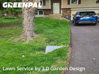 Lawn Care Service nearby Lake In The Hills, IL, 