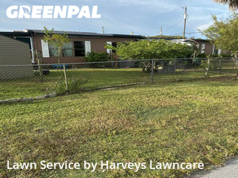Lawn Cutting nearby Spring Hill, FL, 