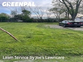 Yard Cutting nearby Wickliffe, OH, 
