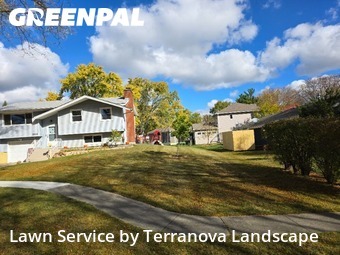 Weed Trimming in Schaumburg, 60193, Yard Care Services by Terranova Landscape, work completed in Nov , 2025