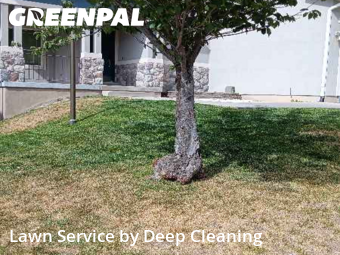 Lawn Cut nearby Draper, UT, 