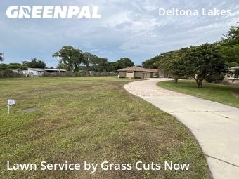 Yard Cutting nearby Grand Island, FL, 